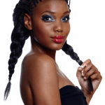 micro braids plait protective hairstyles